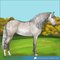 Horse Color:Gray Silver Grullo Ice 