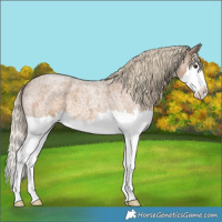 Horse Color:Chocolate Palomino Roan Splash 