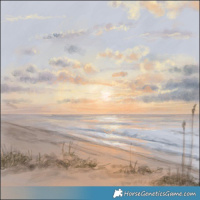 Horse Color:Gray Buckskin Dun Splash Rabicano