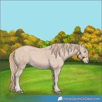 Horse Color:Smoky Creme 
