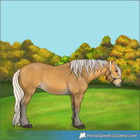 Horse Color:Silver Buckskin 