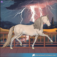 Horse Color:Perlino 