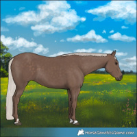 Horse Color:Silver Black 