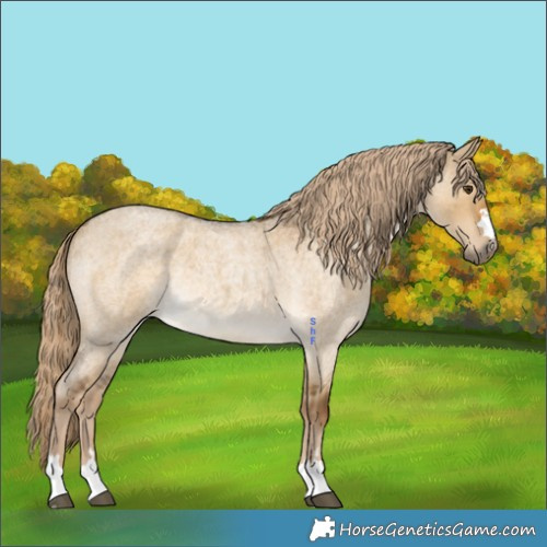 Horse Color:Chocolate Palomino Roan Dun