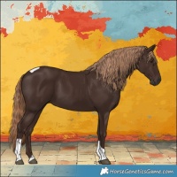 Horse Color:White Spotted Liver Chestnut Tobiano