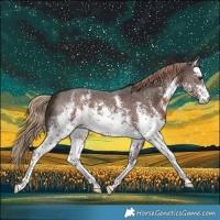 Horse Color:White Spotted Liver Chestnut Sabino 