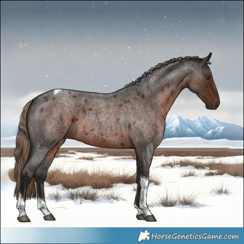 Horse Color:Liver Red Roan Tobiano 