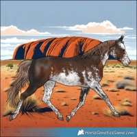Horse Color:White Spotted Liver Chestnut Sabino 