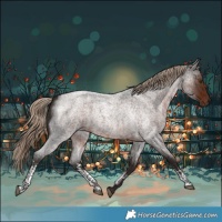 Horse Color:Liver Red Roan Sabino