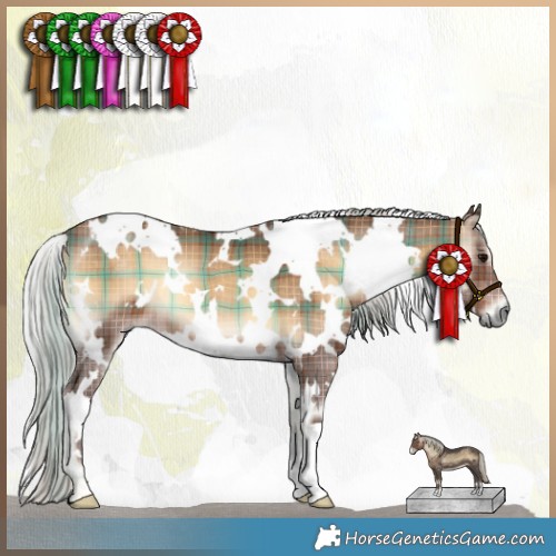 Horse Color:Plaid  White Spotted Silver Bay Onyx 