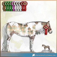 Horse Color:Plaid White Spotted Silver Bay Onyx