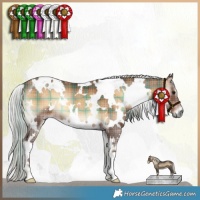 Horse Color:Plaid  White Spotted Silver Bay Onyx 
