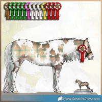 Horse Color:Plaid White Spotted Silver Bay Onyx
