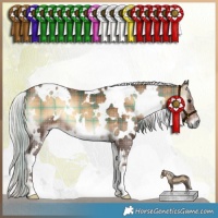 Horse Color:Plaid  White Spotted Silver Bay Onyx 