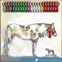 Horse Color:Plaid White Spotted Silver Bay Onyx