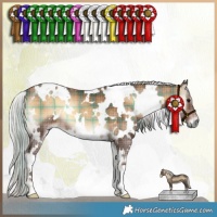 Horse Color:Plaid White Spotted Silver Bay Onyx