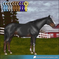 Horse Color:Liver Chestnut Tobiano Rabicano 