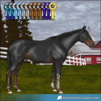 Horse Color:Liver Chestnut Tobiano Rabicano 