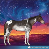 Horse Color:Liver Chestnut Tobiano Rabicano