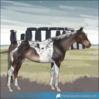 Horse Color:Liver Chestnut Mushroom Tobiano Rabicano