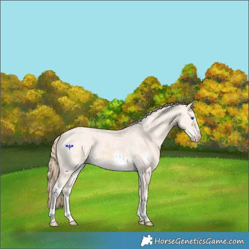 Horse Color:Perlino Sabino Frame 
