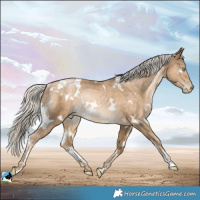 Horse Color:White Spotted Chocolate Palomino Pearl Mushroom Rabicano