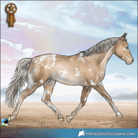 Horse Color:White Spotted Chocolate Palomino Pearl Mushroom Rabicano