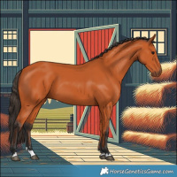Horse Color:Bay 