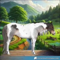 Horse Color:Liver Chestnut Tobiano Rabicano 