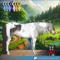 Horse Color:Liver Chestnut Tobiano Rabicano 