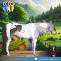 Horse Color:Liver Chestnut Tobiano Rabicano 