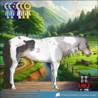 Horse Color:Liver Chestnut Tobiano Rabicano