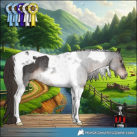 Horse Color:Liver Chestnut Tobiano Rabicano