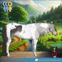 Horse Color:Liver Chestnut Tobiano Rabicano