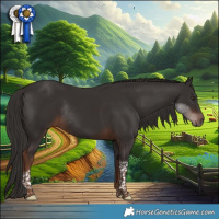 Horse Color:Liver Chestnut Tobiano Rabicano 