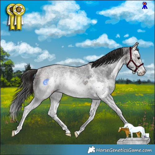 Horse Color:White Spotted Brown Ice Sabino Rabicano 