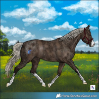 Horse Color:White Spotted Liver Red Dun Ice Mushroom Rabicano 