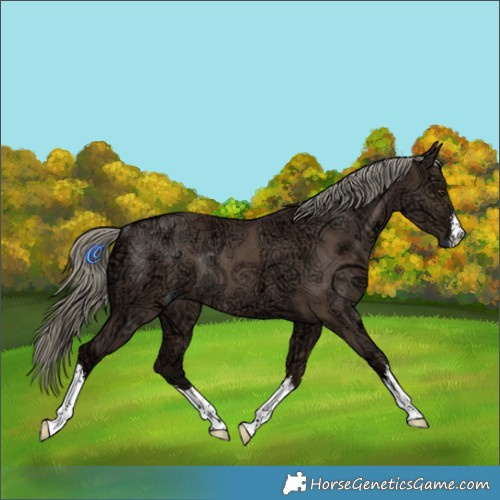 Horse Color:White Spotted Liver Red Dun Ice Mushroom Rabicano 