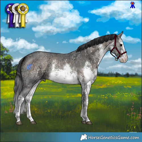 Horse Color:White Spotted Brown Ice Onyx Sabino 
