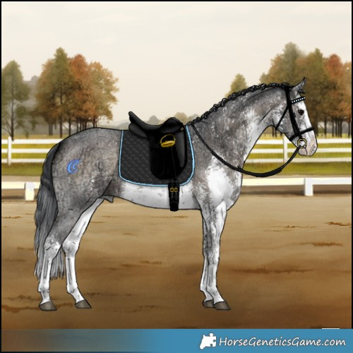 Horse Color:White Spotted Brown Ice Onyx Sabino 