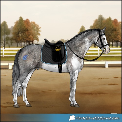 Horse Color:White Spotted Brown Ice Onyx Sabino 