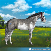 Horse Color:White Spotted Brown Ice Onyx Sabino