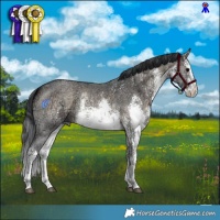 Horse Color:White Spotted Brown Ice Onyx Sabino 