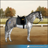 Horse Color:White Spotted Brown Ice Onyx Sabino 