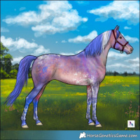 Horse Color:Watercolor Chocolate Brown Dun Tobiano 