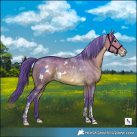 Horse Color:Watercolor White Spotted Chocolate Brown Dun Tobiano 