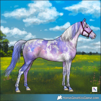Horse Color:Watercolor White Spotted Chocolate Brown Dun Tobiano 