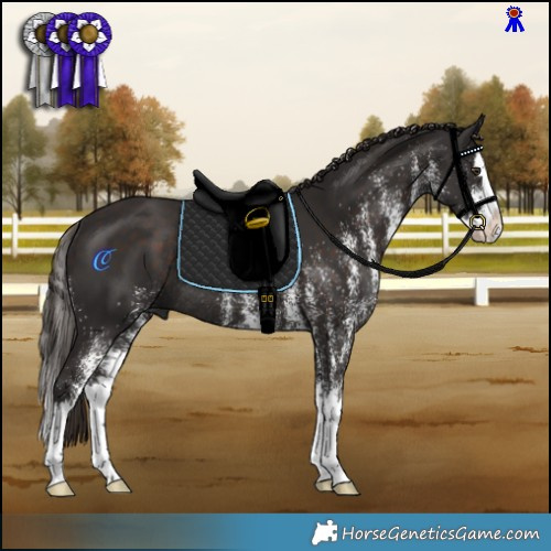 Horse Color:White Spotted Liver Chestnut Splash Rabicano 