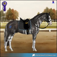 Horse Color:White Spotted Liver Chestnut Splash Rabicano 