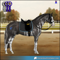 Horse Color:White Spotted Liver Chestnut Splash Rabicano 